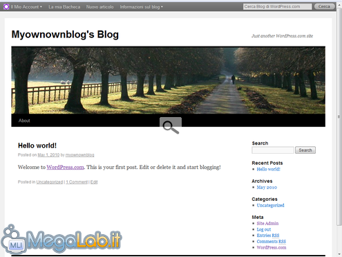 Blog WordPress 10.png